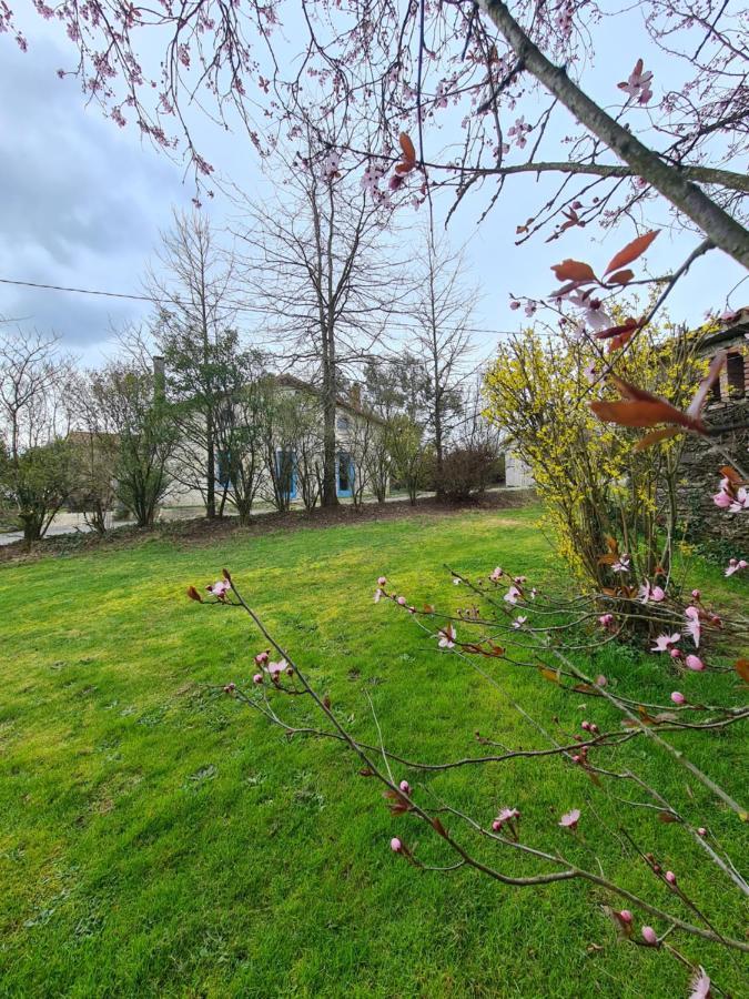 Le Terrier Maison De Campagne 250 M2 Grande Capacite 20 Couchages, 4500M2 De Terrain Saint-Pierre-du-Chemin Exterior foto